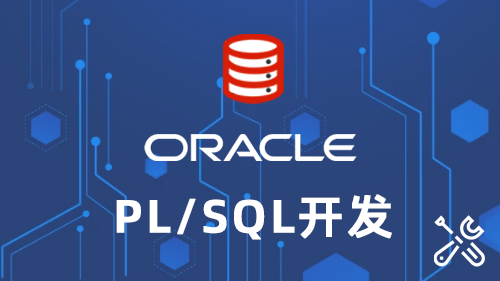 Oracle PLSQL 