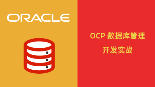 Oracle OCP ݿʵս