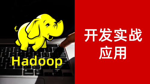 Hadoop ʵսӦ