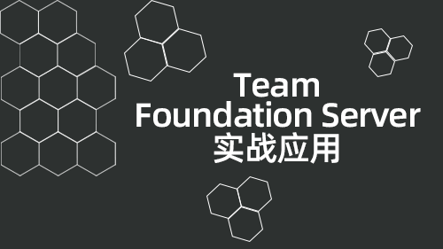Team Foundation ServerʵսӦ