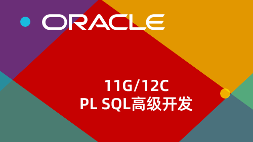 ORACLE PLSQL高级开发